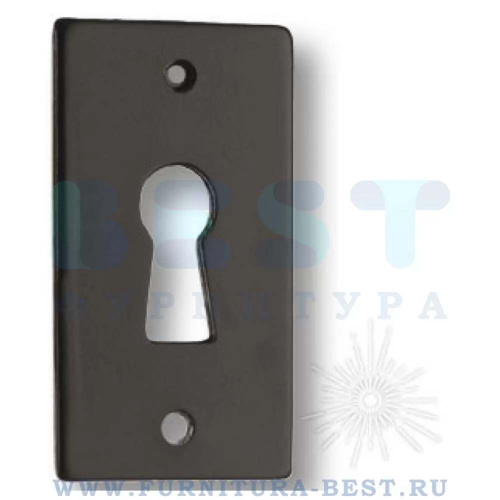 Ключевина, 45*25*2 мм, материал цамак, цвет черный, арт. 43411-14 стоимость 180 руб.