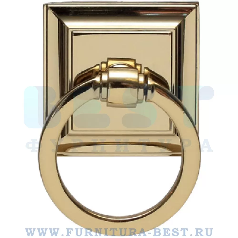 Ручка-кольцо, d=50*52*19 мм, материал цамак, цвет золото, арт. SY3200 0050 GL-GL стоимость 575 руб.