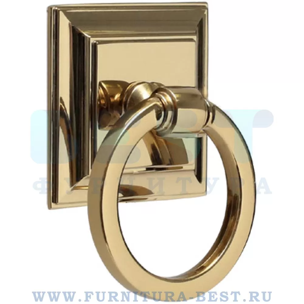 Ручка-кольцо, d=50*52*19 мм, материал цамак, цвет золото, арт. SY3200 0050 GL-GL стоимость 575 руб.
